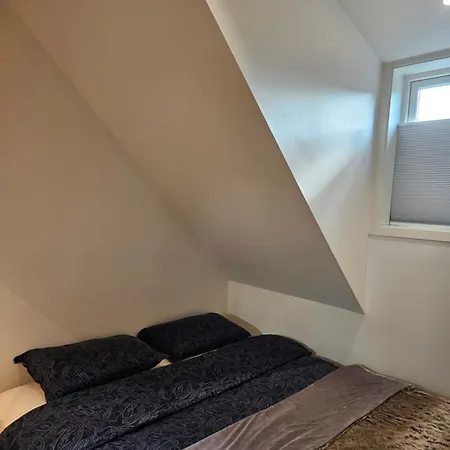 Apartment Modern In Center *